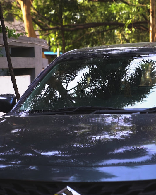 Hoora Quick Clean Car Duster (Ceramic Wax-Infused Fibers)